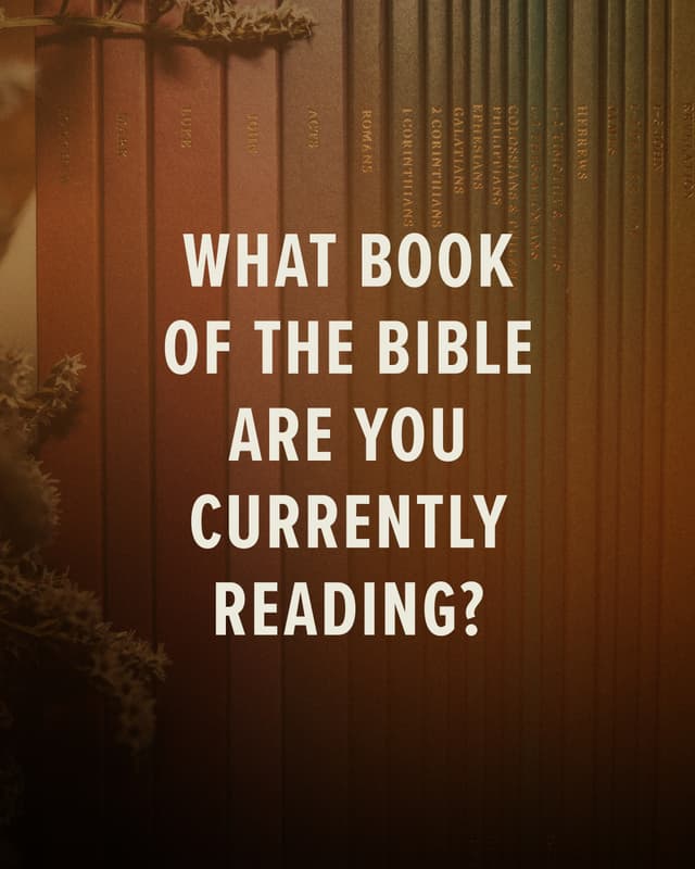 What book of the Bible are you currently reading?