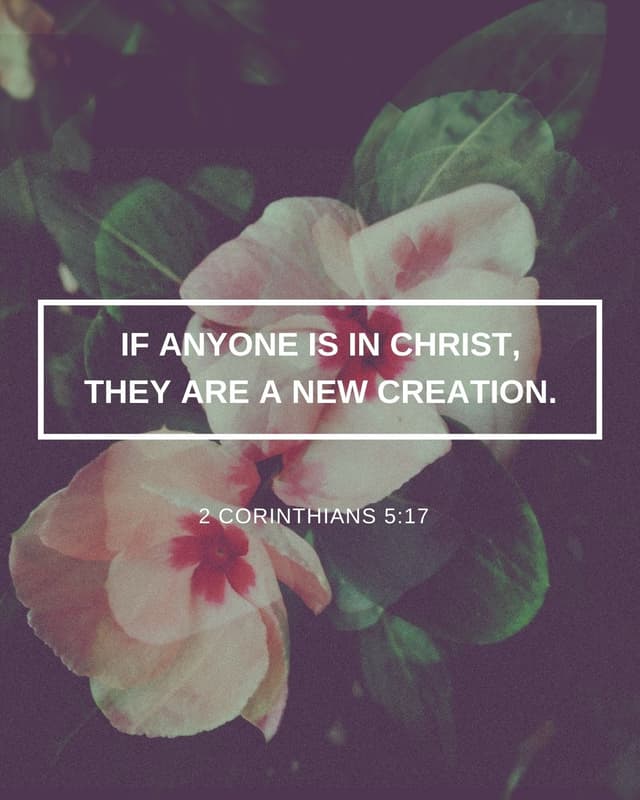 If anyone is in Christ, they are a new creation. - 2 Corinthians 5:17