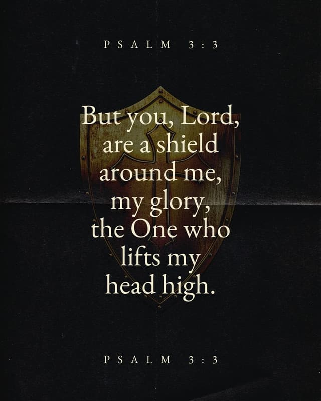 But you, Lord, are a shield around me, my glory, the One who lifts my head high. - Psalm 3:3