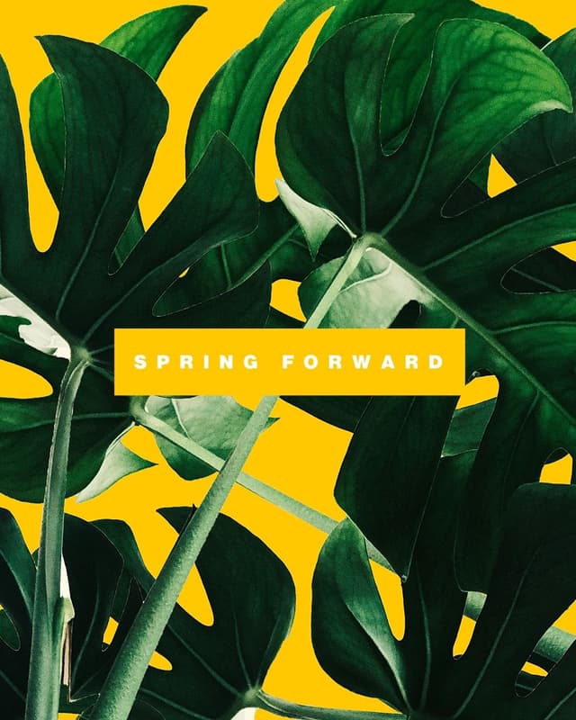 Spring Forward